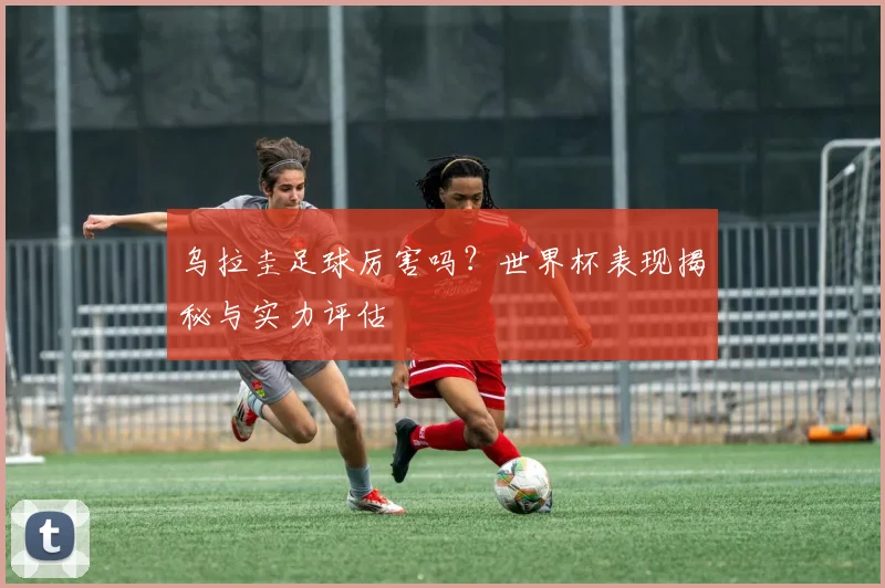乌拉圭足球厉害吗？世界杯表现揭秘与实力评估