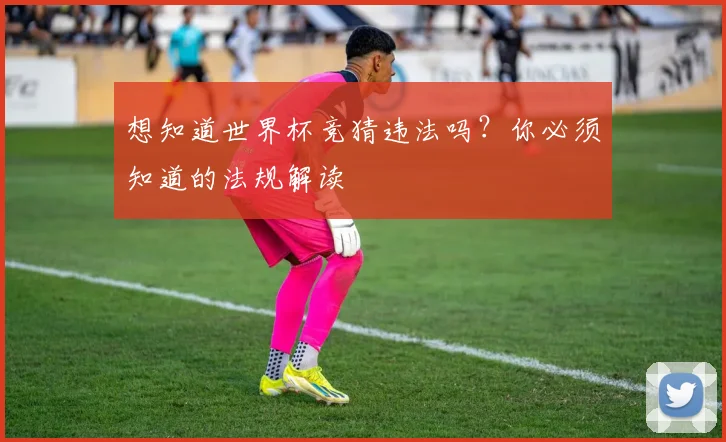 想知道世界杯竞猜违法吗？你必须知道的法规解读