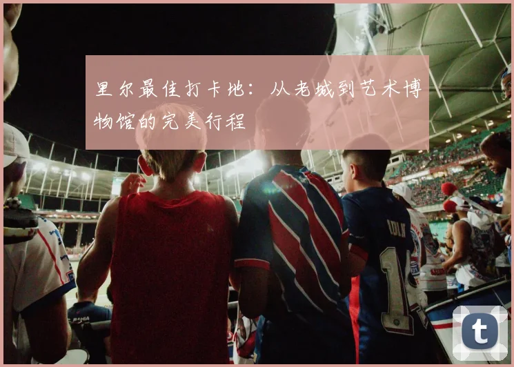 里尔最佳打卡地：从老城到艺术博物馆的完美行程