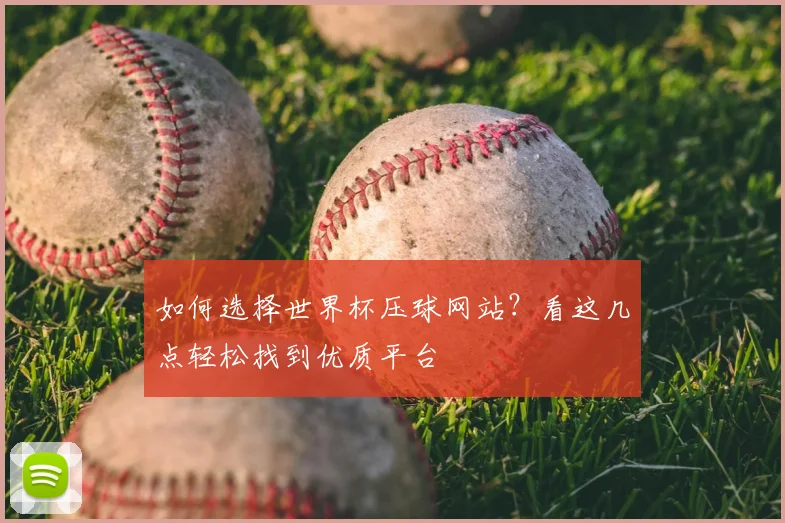 如何选择世界杯压球网站？看这几点轻松找到优质平台