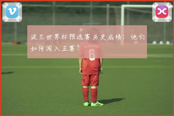 波兰世界杯预选赛历史成绩：他们如何闯入正赛？