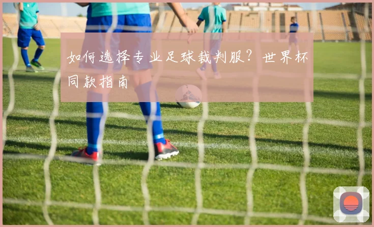 如何选择专业足球裁判服？世界杯同款指南