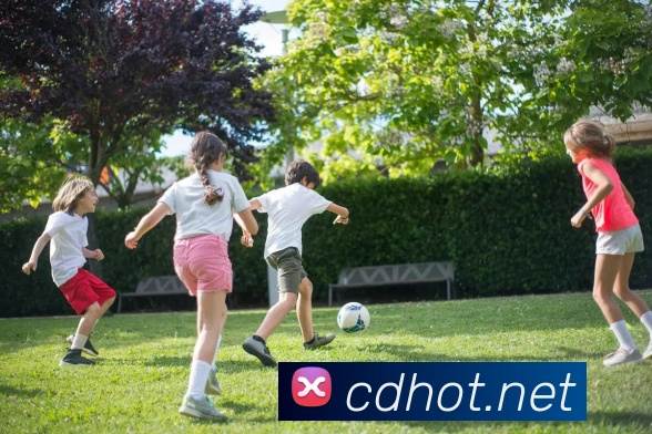 mksports网站发展历程